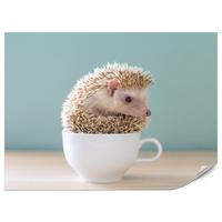 FOTOTAPETE für Esszimmer Igel Weiße Tasse Süß Tier 100x70 - Beige/Weiß, Papier (100/70cm) - Muralo