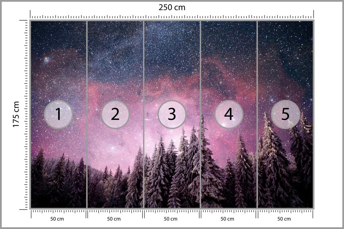 FOTOTAPETE für Schlafzimmer Verzauberter Tannenwald Winter Aurora 250x175 - Violett/Schwarz, Papier (250/175cm) - Muralo