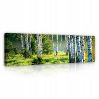 BILDER Wald Modern Wohnzimmer Schlafzimmer 145x45 - Multicolor, Holzwerkstoff (145/45cm) - Wallarena