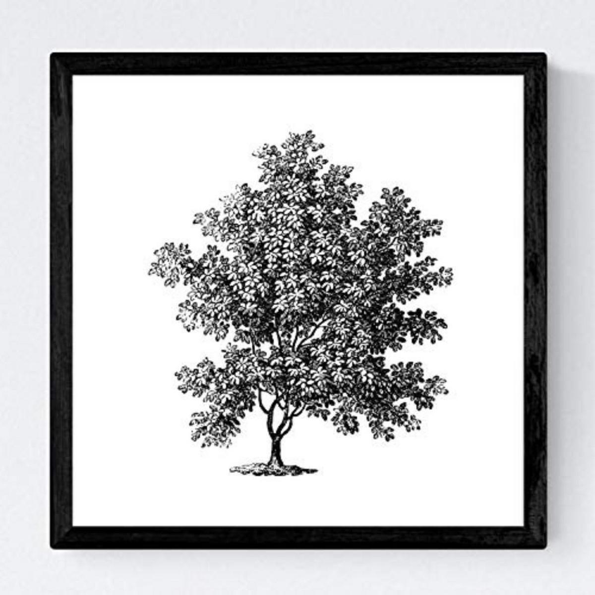 POSTER Set mit 4 Blättern der Bäume ohne und mit Blatt, weiß 20x20cm Schwarzer Rahmen - Schwarz, Papier (20/3cm) - Nacnic