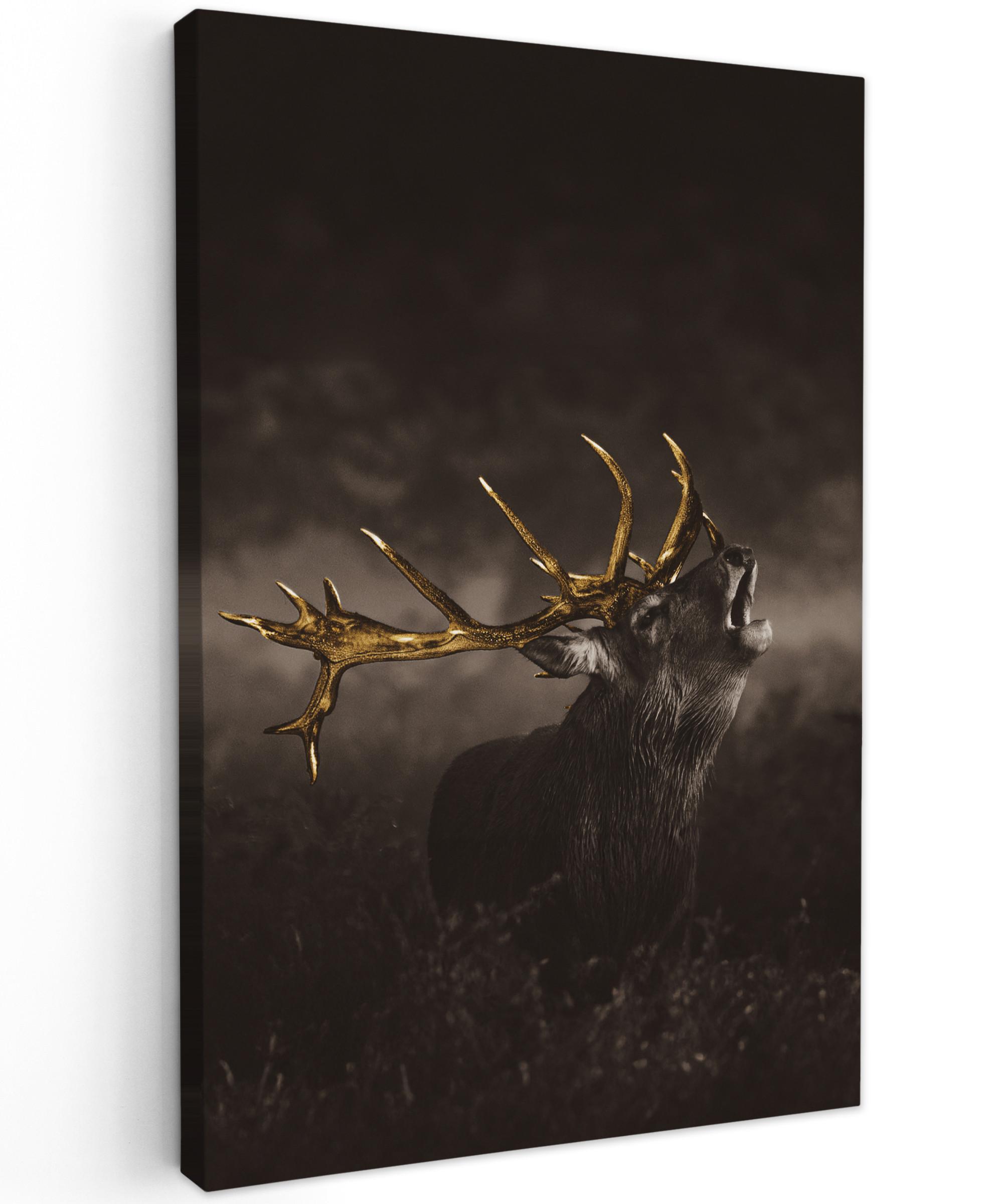 LEINWANDBILD Rotwild - Schwarz - Gold Deko Groß 90x140 cm - Braun, Textil (90/140cm) - MuchoWow
