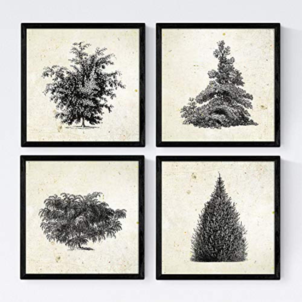 POSTER Set mit 4 Blättern der Bäume und Sträucher 20x20cm Schwarzer Rahmen - Schwarz, Papier (20/3cm) - Nacnic