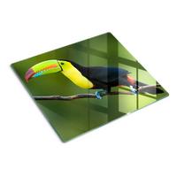 GLASPLATTE 60x52 cm Tukan - Multicolor, Glas (60/0.4/52cm) - TULUP