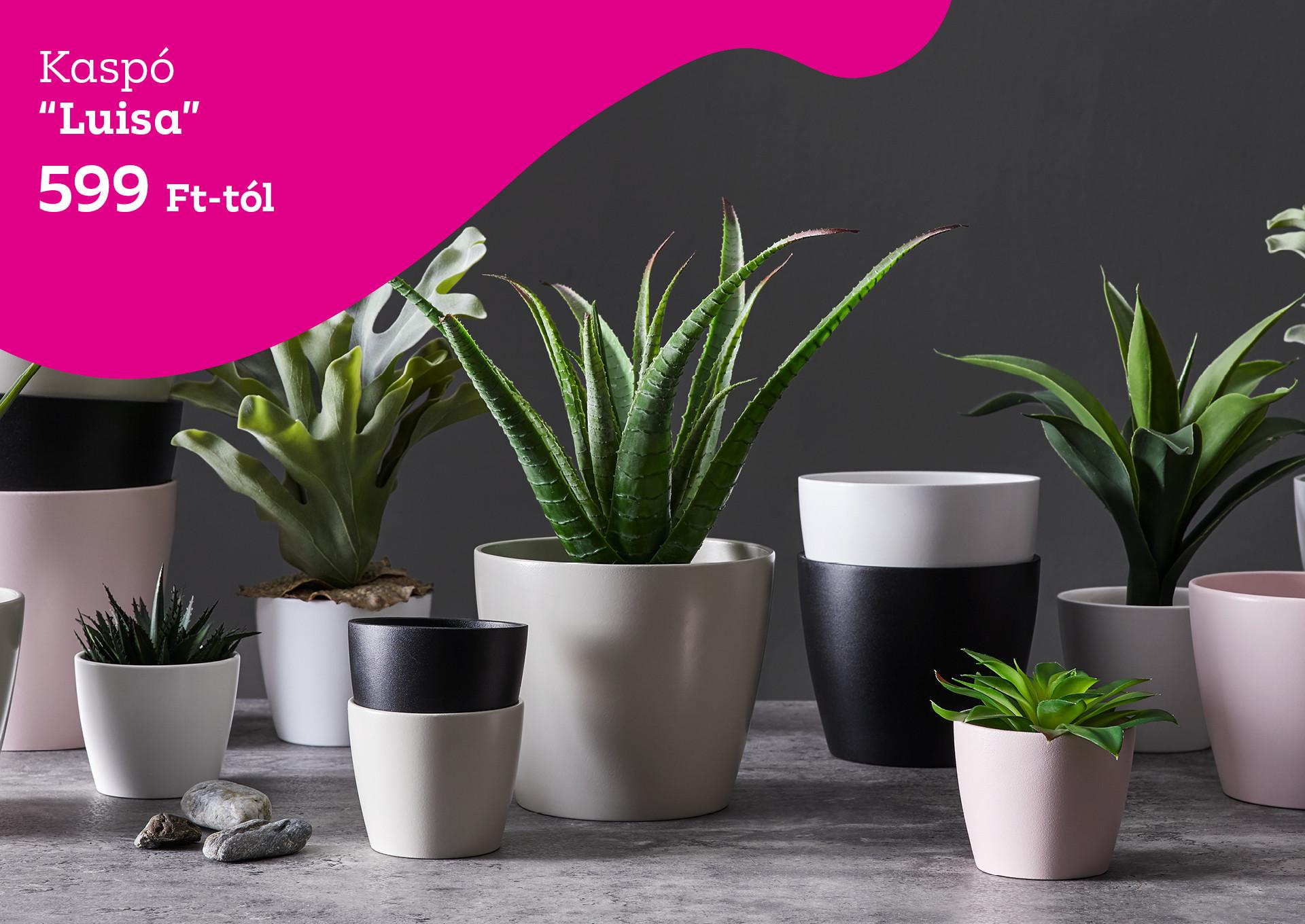 LUISA kaspó 599 Forinttól