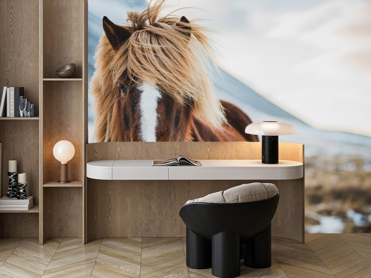 FOTOTAPETE für Schlafzimmer Isländisches Wildpferd Portrait Wiese 100x70 - Beige/Braun, Papier (100/70cm) - Muralo
