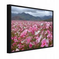 BILDER mit Rahmen Blumen Felder Rosa 60x40 cm - Multicolor, Holzwerkstoff (60/40cm) - Wallarena