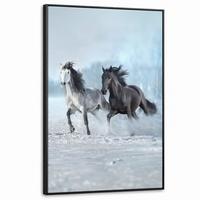 LEINWAND Bilder mit Rahmen - Pferde - Winter - Tiere - Natur - Schnee - 80x120 - Anthrazit, Textil (80/120cm) - MuchoWow