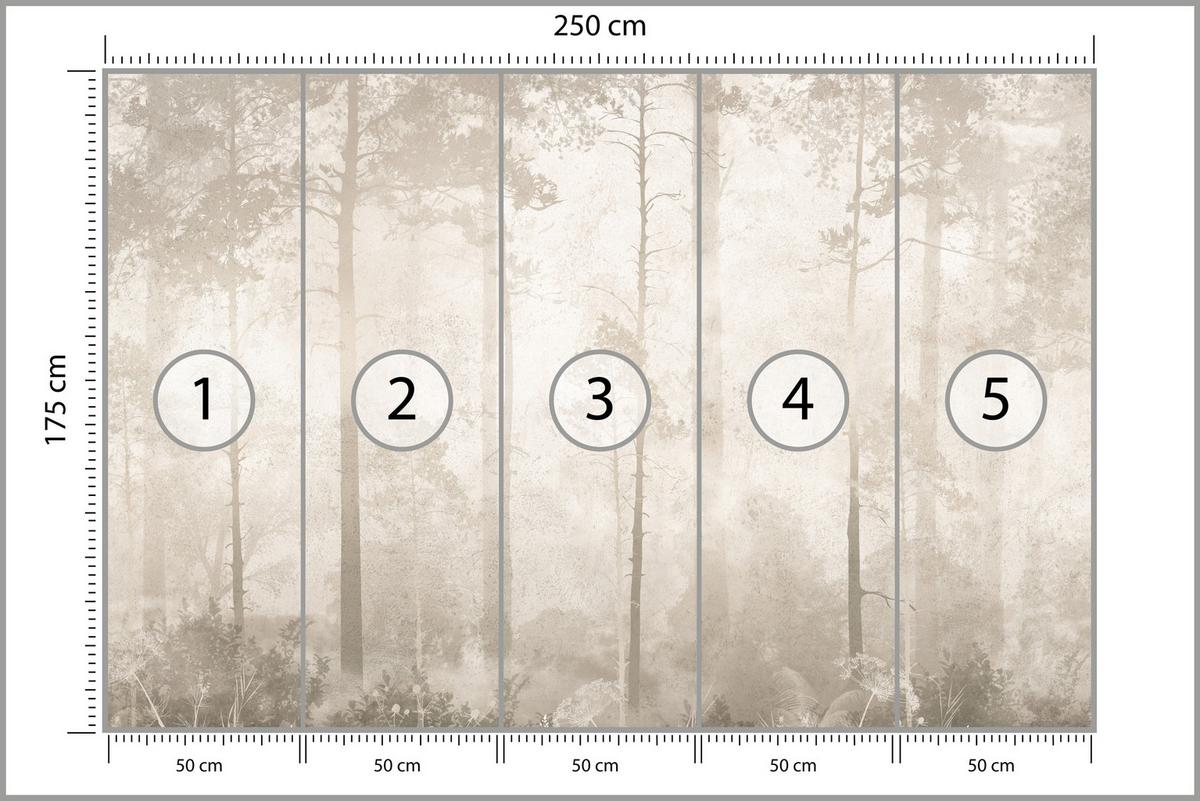FOTOTAPETE für Wohnzimmer Nebliger Wald Vintage Bäume 250x175 - Beige/Braun, Papier (250/175cm) - Muralo