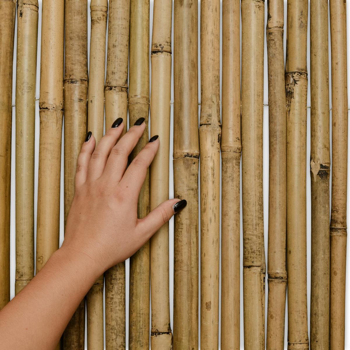SICHTSCHUTZZAUN SolVision B38 90/250 cm Bambus - Naturfarben, Kunststoff (250/90cm) - Sol Royal