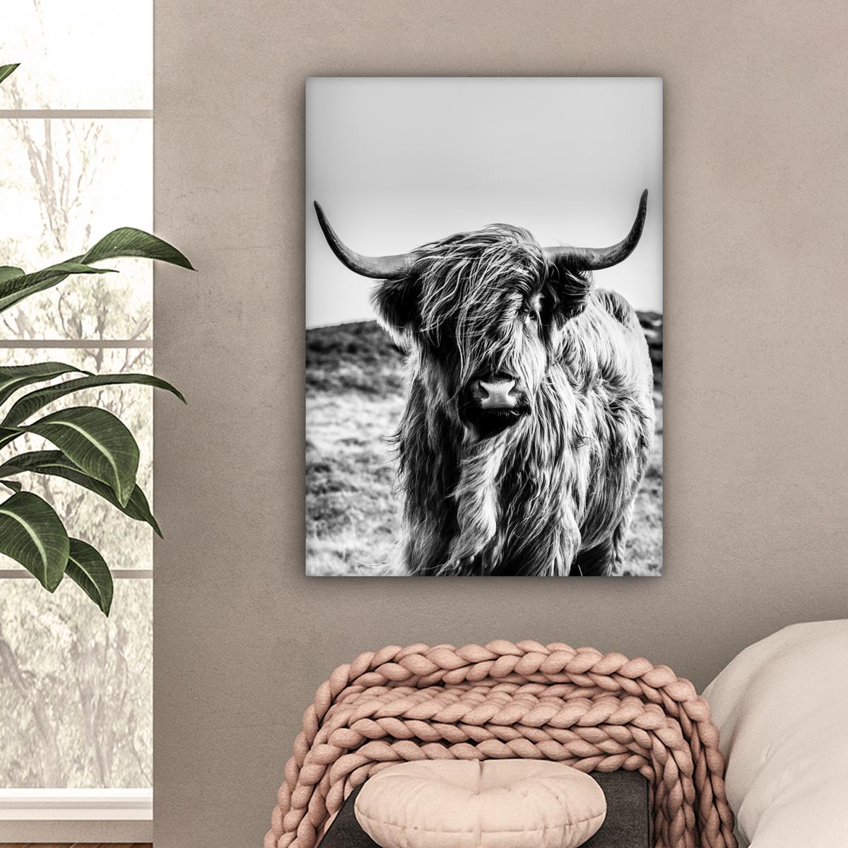 LEINWANDBILD Kuh - Schottischer Hochländer - Schwarz - Weiß - Tier - Natur - Wildtiere Wandbild Wohnzimmer 60x80 cm - Schwarz, Textil (60/80cm) - MuchoWow
