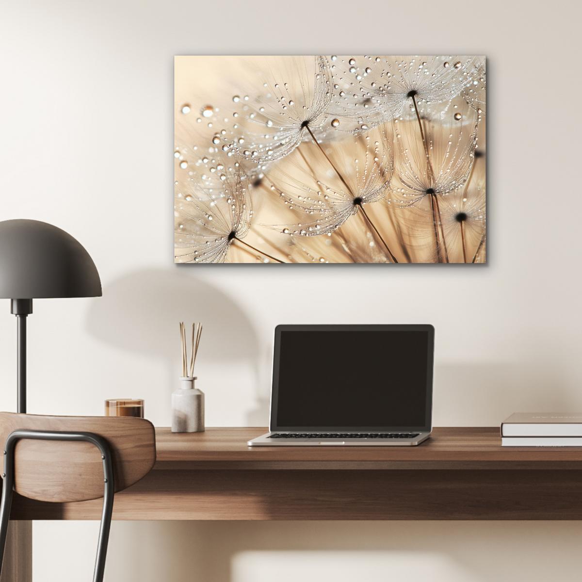 METALLBILD Löwenzahn - Abstrakt - Natur - Beige Wandbild 60x40 cm - Braun, Metall (60/40cm) - MuchoWow