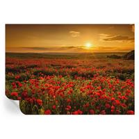 FOTOTAPETE 208x146 cm - Mohnfeld - Rot, Textil (208/146cm) - Wallfluent