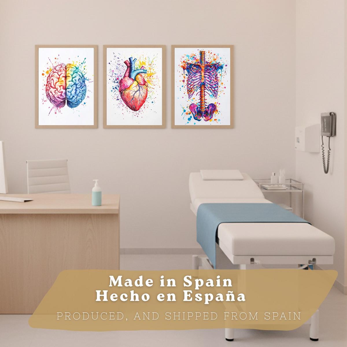 POSTER Set aus 3 Anatomie Mensch Drucke und Wandbilder mit Gehirn Herz Rippen Wirbelsäule Lebendiges Aquarell Design Größe Leichter Holzrahmen A4 - Beige, Papier (21/29.7/3cm) - Nacnic