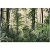 FOTOTAPETE Wald Bäume Natur Vlies Tapete Wohnzimmer 400x280 - Grün, Papier (400/280cm) - Wallarena