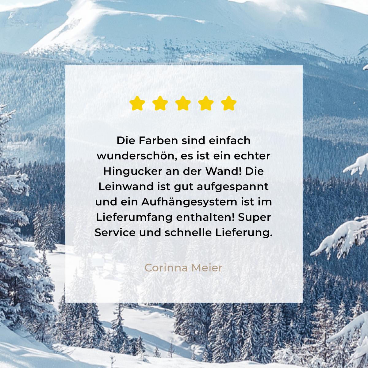 LEINWANDBILD Winterlandschaft - Natur - Berge - Bäume - Schnee Wanddeko 40x60 cm - Hellblau, Textil (40/60cm) - MuchoWow