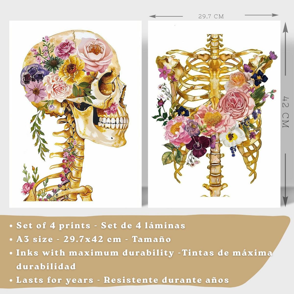 POSTER Set aus 4 Anatomie Mensch Drucke und Wandbilder mit Schädel Skelett Herz und Goldene Lungen Wanddekoration Größe Leichter Holzrahmen A3 - Beige, Papier (29.7/42/3cm) - Nacnic