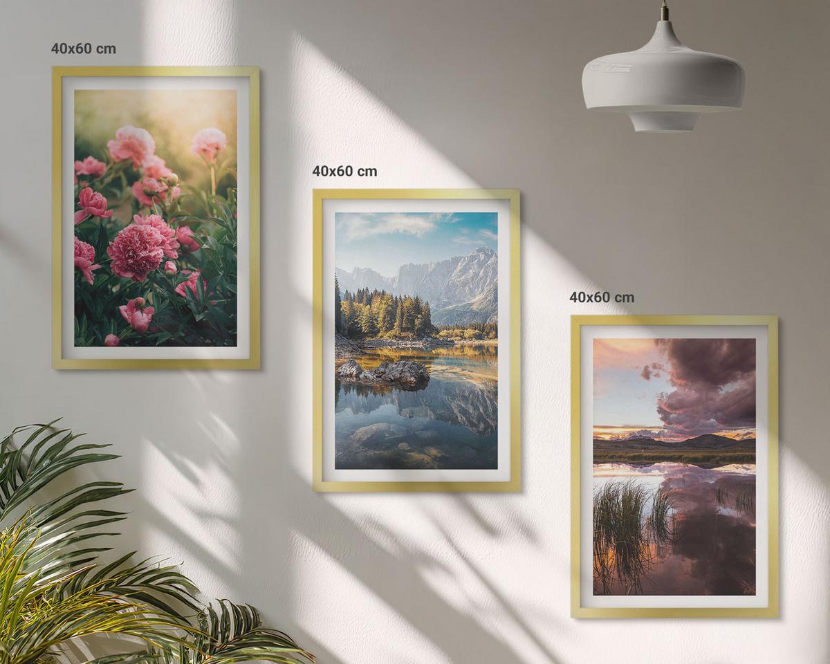 BILDER SET 3er Set - 40x60 cm Goldrahmen - Blumengarten Berge Wasser - Goldfarben, Kunststoff (40/60cm) - TULUP