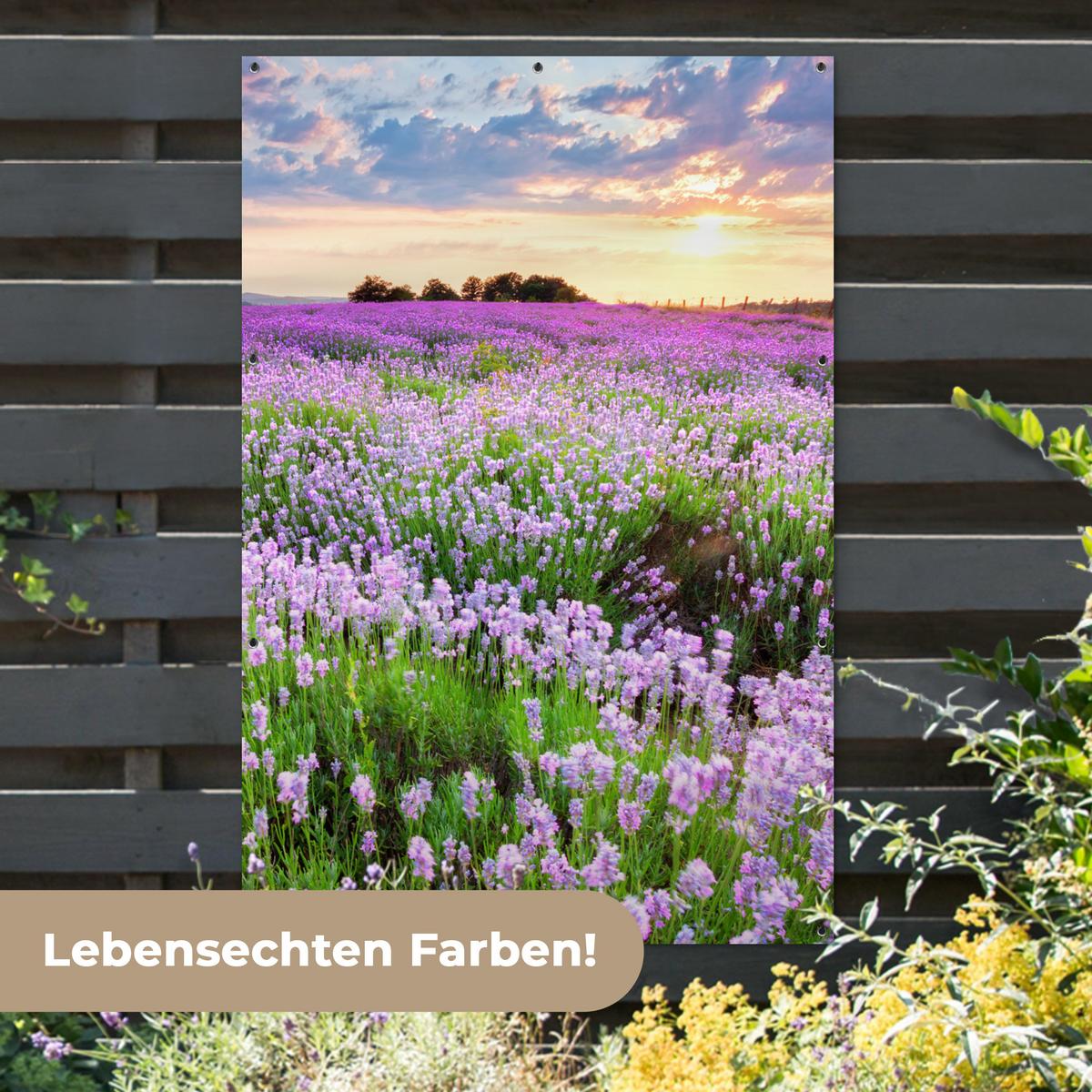 GARTENPOSTER Blumen - Lavendel - Lila - Himmel - Sonnenuntergang - Wiese - Natur Bild 120x180 cm - Flieder, Kunststoff (120/180/0.2cm) - OnlyWow