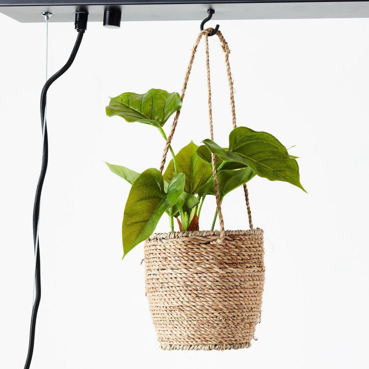 PENDELLEUCHTE Bankwood 99541/76 - Schwarz, Holz (17.5/80/106.5cm) - Brilliant