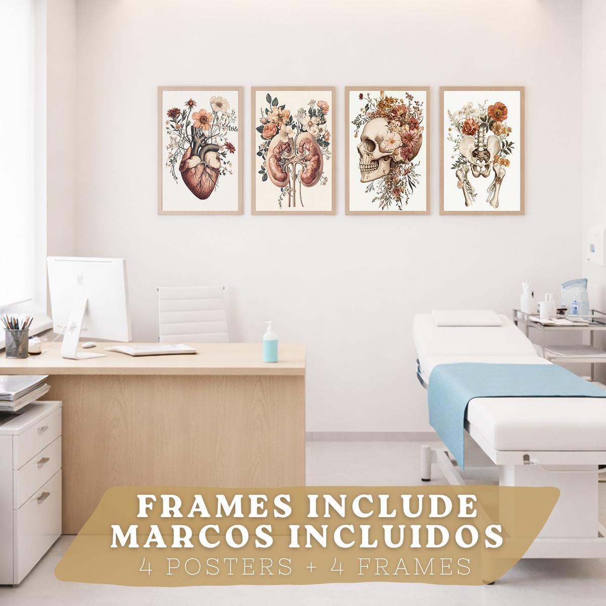 POSTER Set aus 4 Anatomie Drucke und Wandbilder mit Herz Nieren Schädel und Becken Botanischer Stil Wanddekoration Größe Leichter Holzrahmen A3 - Beige, Papier (29.7/42/3cm) - Nacnic