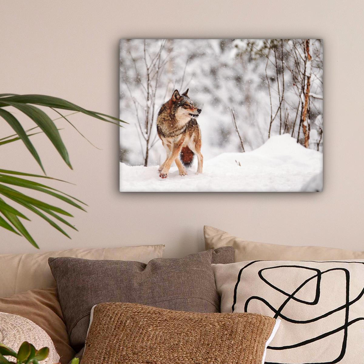 LEINWANDBILD Wolf - Winter - Schnee - Natur - Tiere Wandbild 40x30 cm - Haselnussfarben, Textil (40/30cm) - MuchoWow