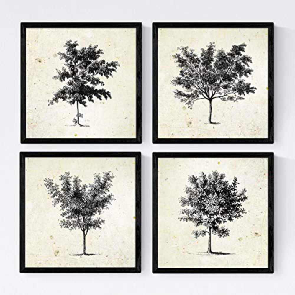 POSTER Set mit 4 Blättern der Bäume mittlerer, Jahrgang Hintergrund 20x20cm Schwarzer Rahmen - Schwarz, Papier (20/3cm) - Nacnic