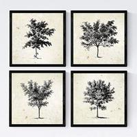 POSTER Set mit 4 Blättern der Bäume mittlerer, Jahrgang Hintergrund 20x20cm Schwarzer Rahmen - Schwarz, Papier (20/3cm) - Nacnic