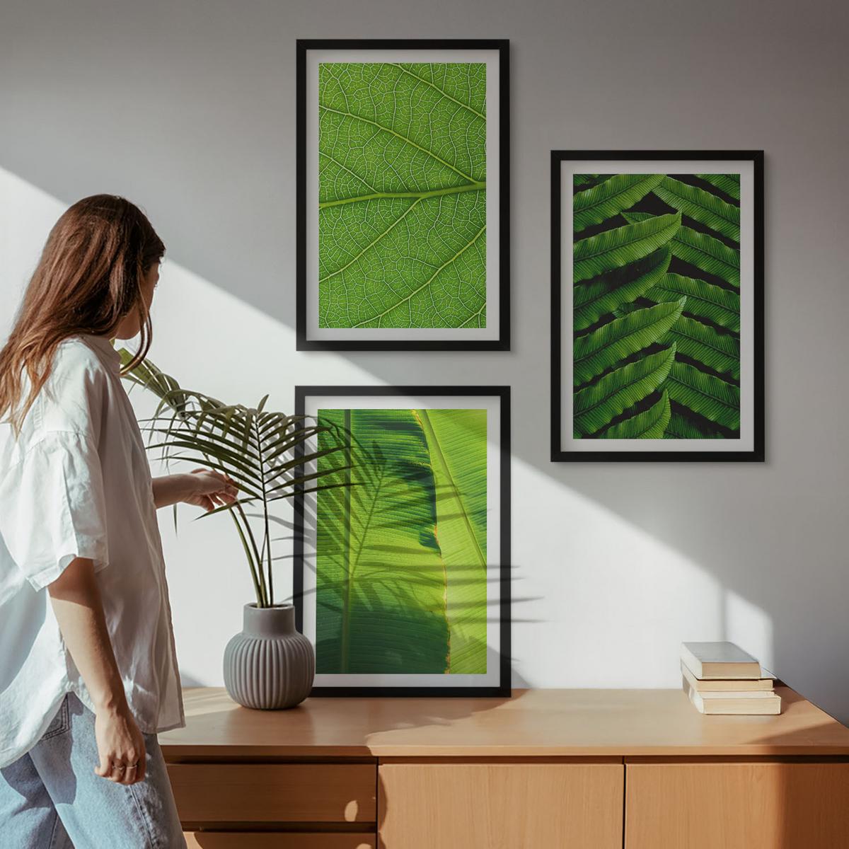 BILDER SET 3er Set - 40x60 cm Schwarzer Rahmen - Makrofotografie von tropischen Blättern - Schwarz, Kunststoff (40/60cm) - TULUP