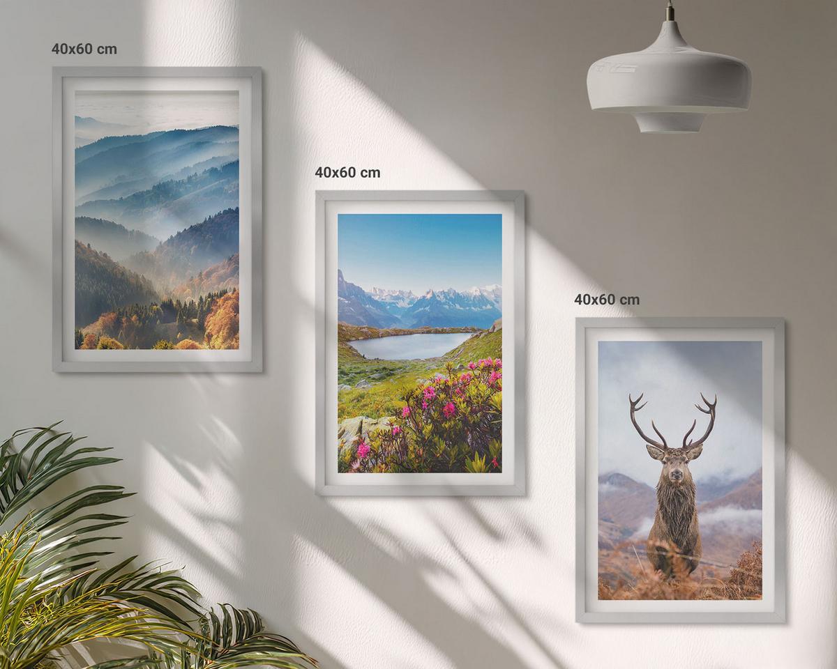 BILDER SET 3er Set - 40x60 cm Silberner Rahmen - Natur des Bergseehirsches - Silberfarben, Kunststoff (40/60cm) - TULUP