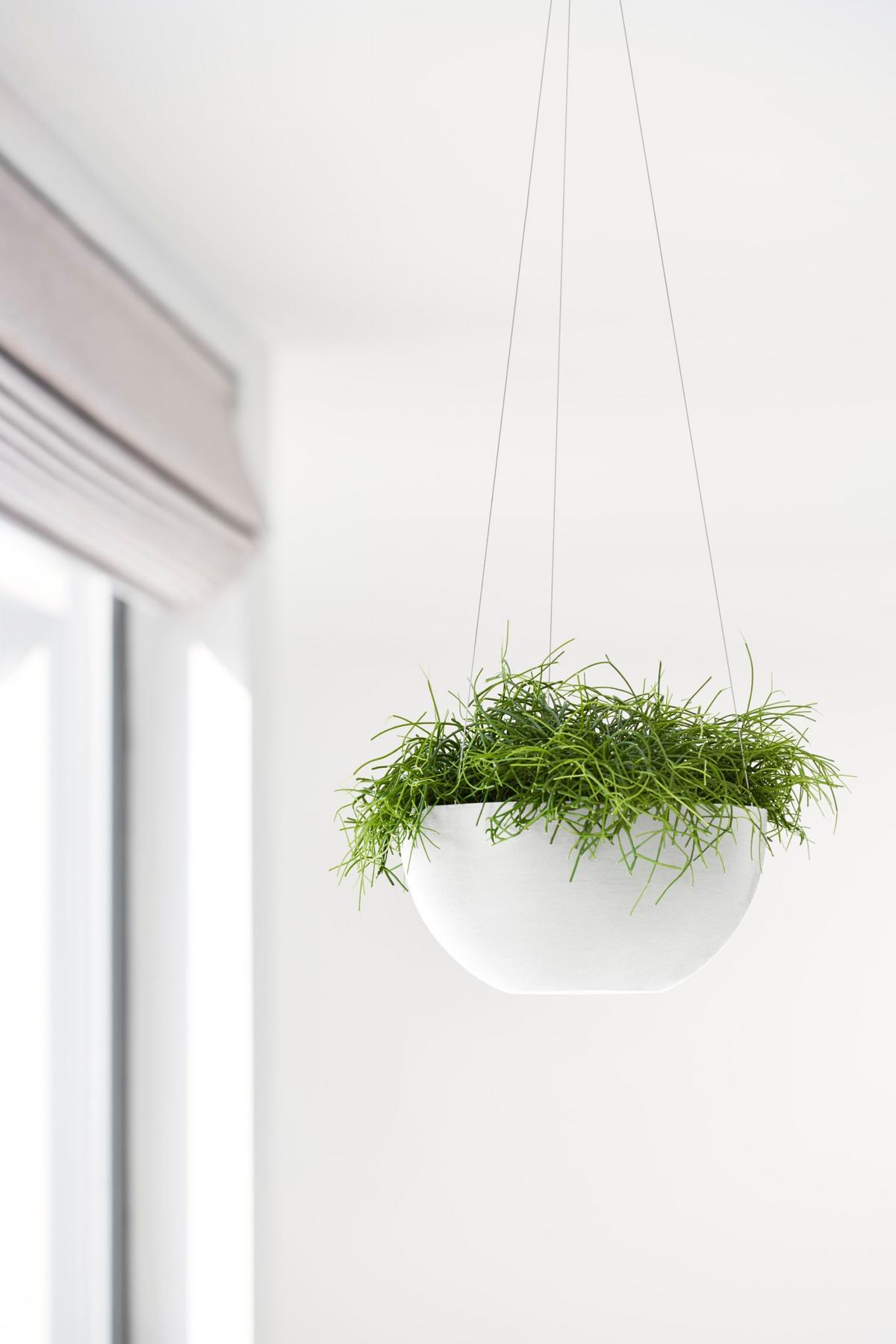 BLUMENTOPF Brussels Hängend 26,7/12,8 cm Weiß - Weiß, Kunststoff (26.7/12.8cm) - Ecopots