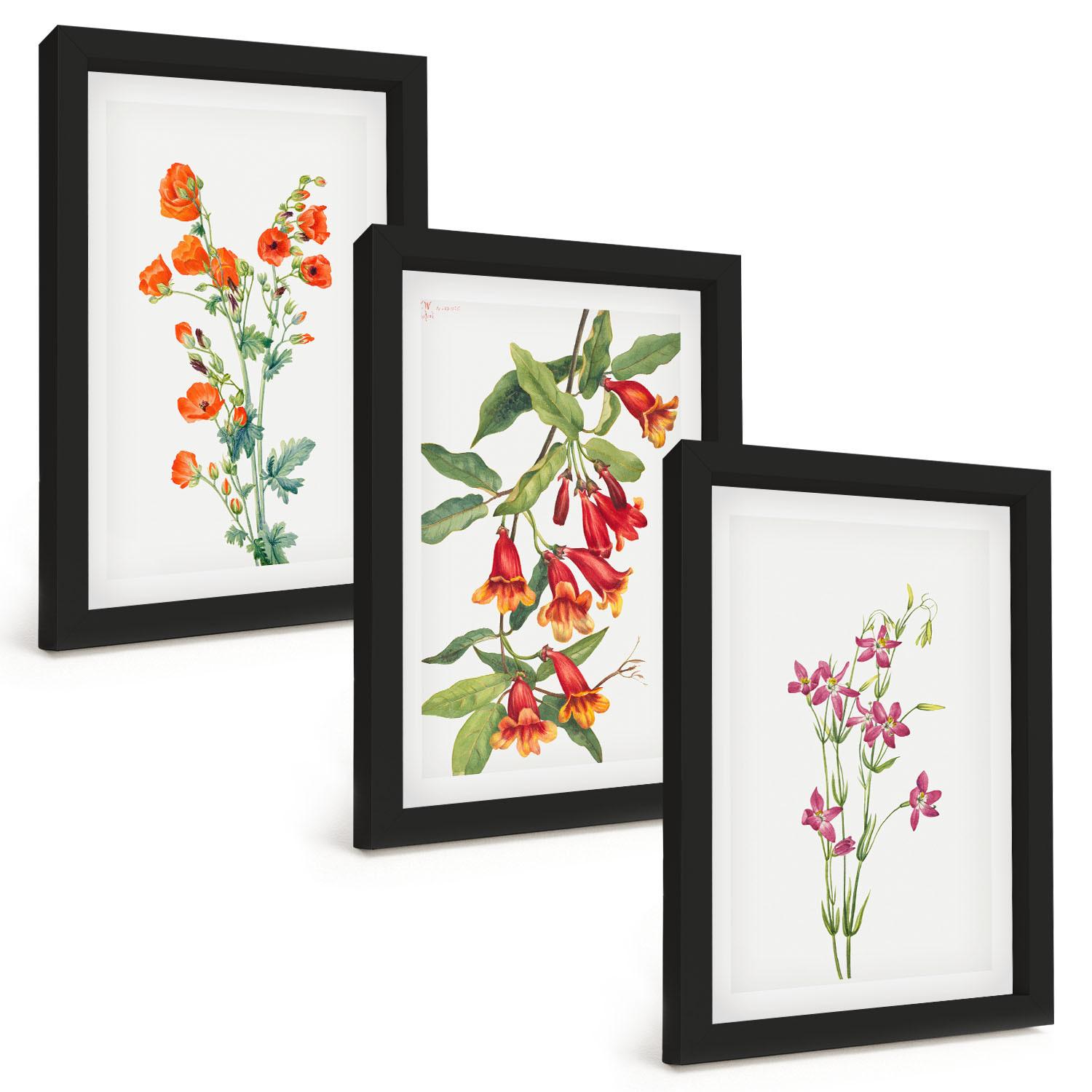 BILDER SET 3er Set - 20x30 cm Schwarzer Rahmen - Vintage-Retro-Blumenmalerei - Schwarz, Kunststoff (20/30cm) - TULUP