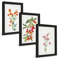 BILDER SET 3er Set - 20x30 cm Schwarzer Rahmen - Vintage-Retro-Blumenmalerei - Schwarz, Kunststoff (20/30cm) - TULUP