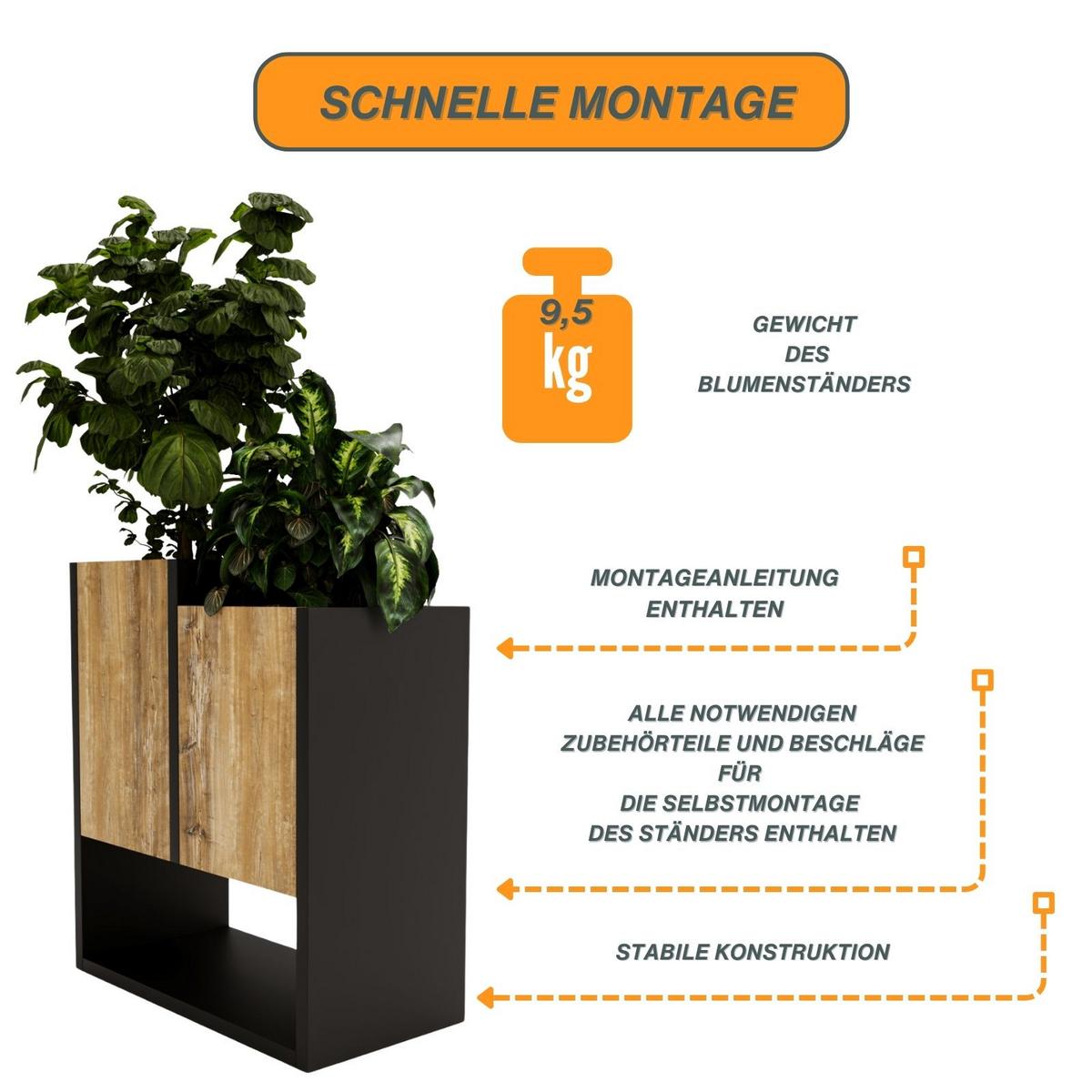 BLUMENKASTEN - Kiefer Milford, Holzwerkstoff (22.6/50/44cm) - RAUMHIRSCH FURNITURE