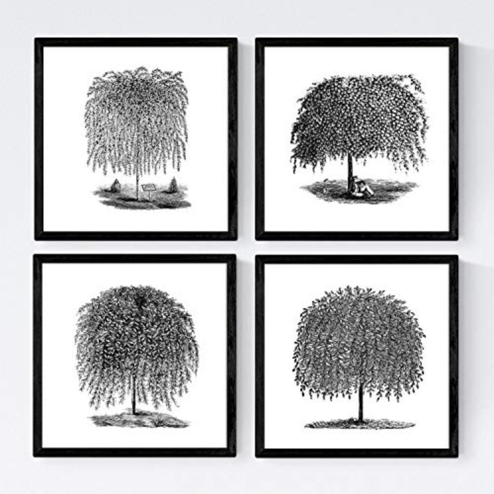 POSTER Set mit 4 Blättern der Bäume Weiden Weiß Hintergrund 20x20cm Schwarzer Rahmen - Schwarz, Papier (20/3cm) - Nacnic