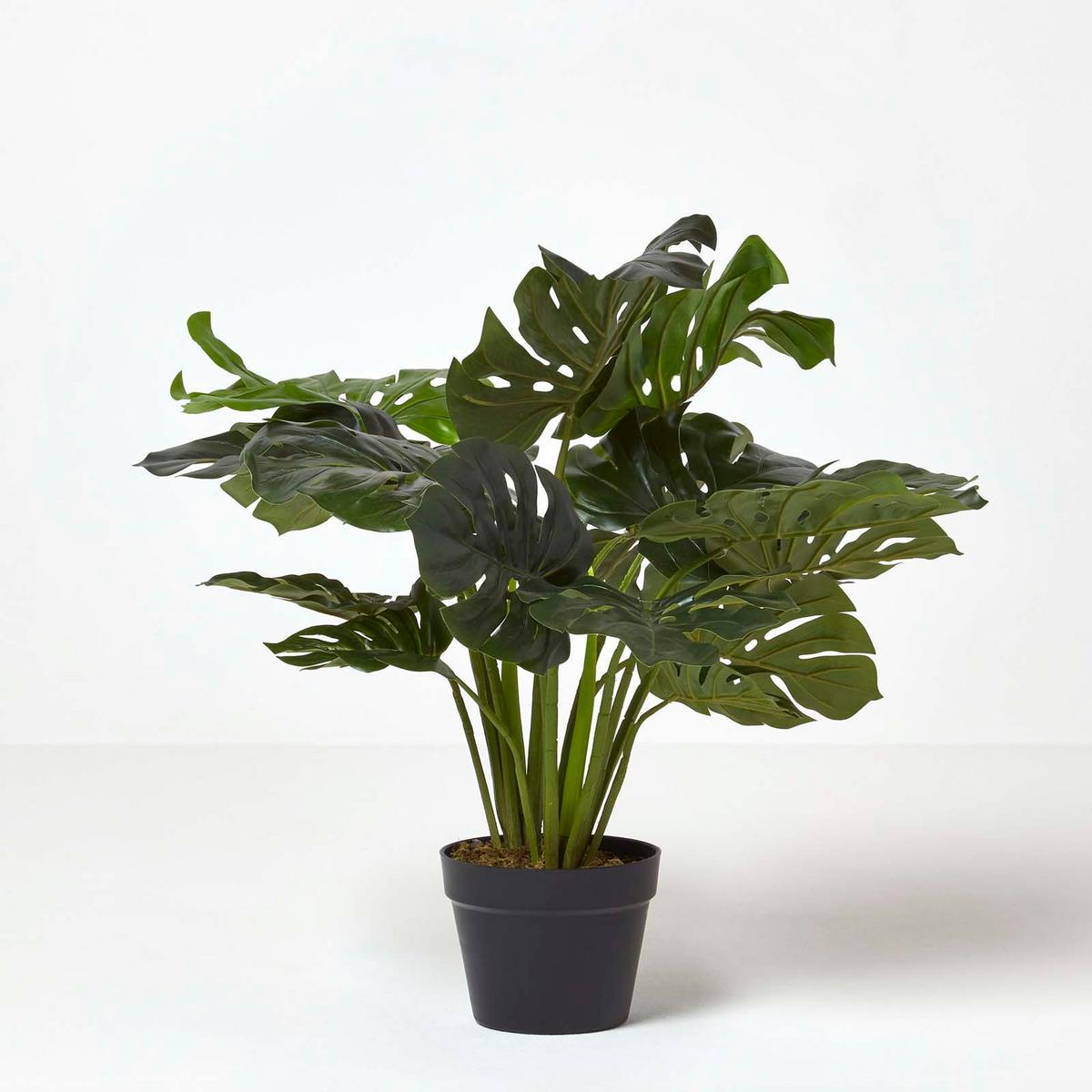 KUNSTPFLANZE Monstera, 60 cm - Grün, Kunststoff (60cm) - Homescapes