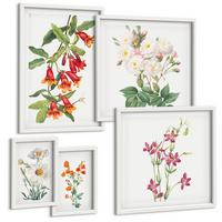 BILDER SET 5er Set - 50x50 cm & 20x30 cm & 40x60 cm Weißer Rahmen - Retro-Blumenmalerei - Weiß, Kunststoff (40/60cm) - TULUP