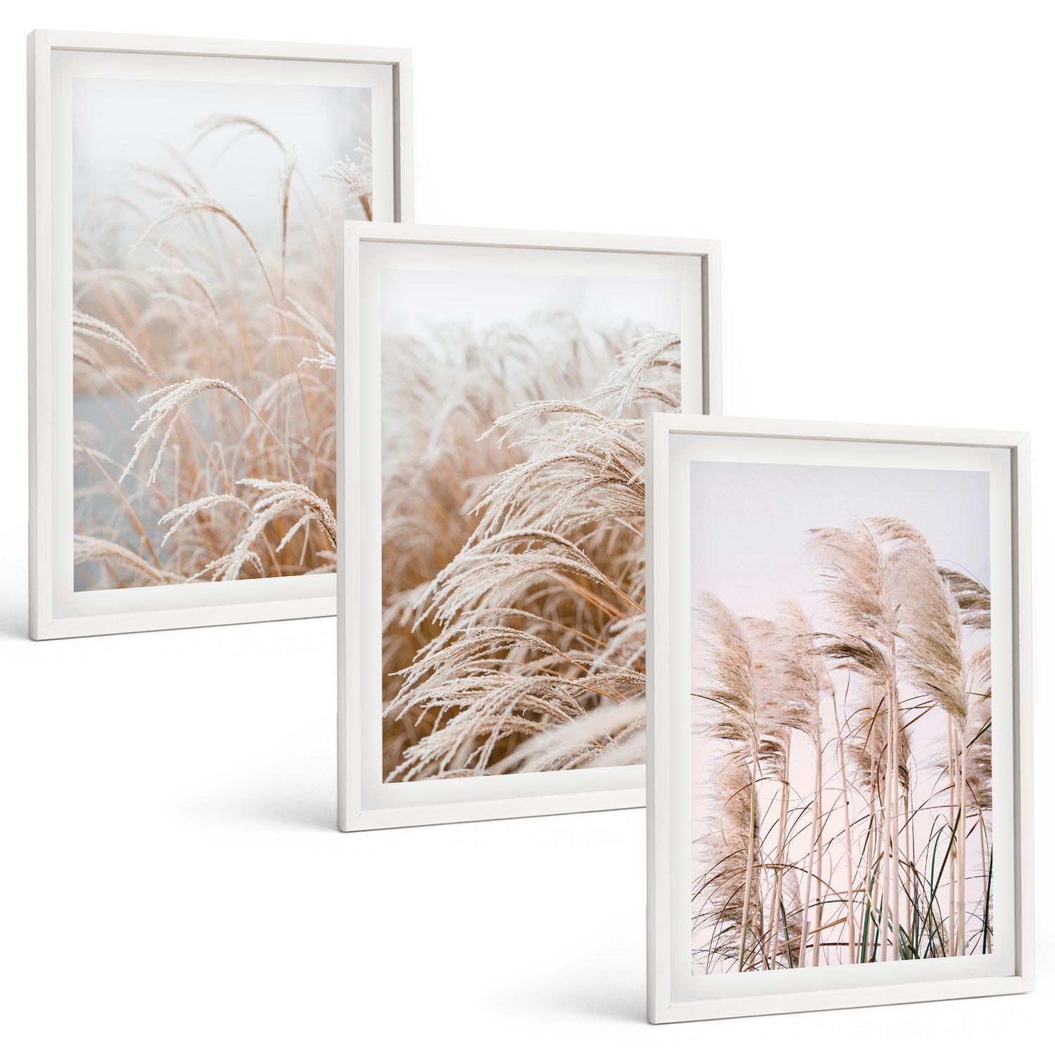 BILDER SET 3er Set - 40x60 cm Weißer Rahmen - Grasflächen in Braun- und Beigetönen - Weiß, Kunststoff (40/60cm) - TULUP