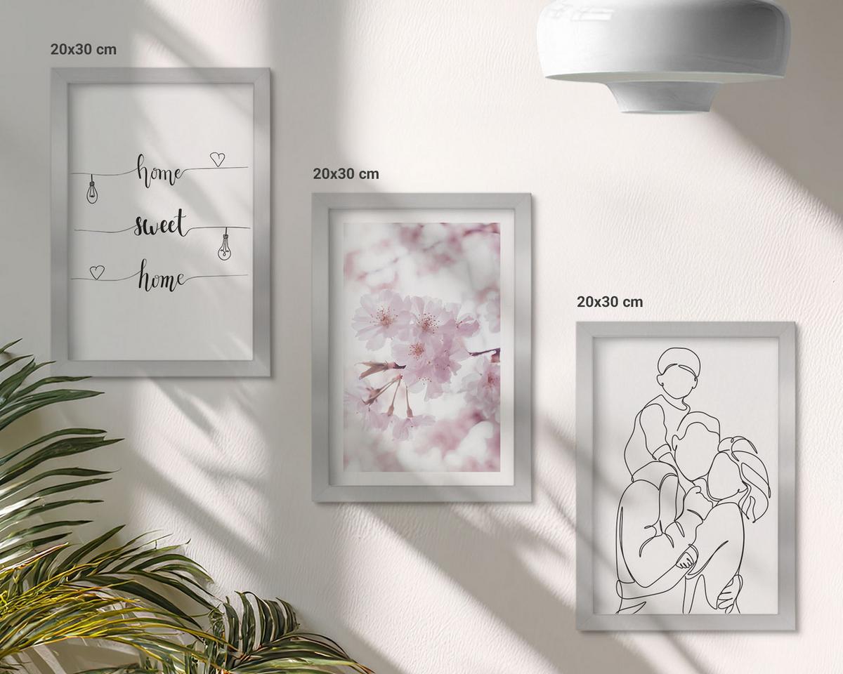 BILDER SET 3er Set - 20x30 cm Silberner Rahmen - Blumenfamilie minimalistisch - Silberfarben, Kunststoff (20/30cm) - TULUP