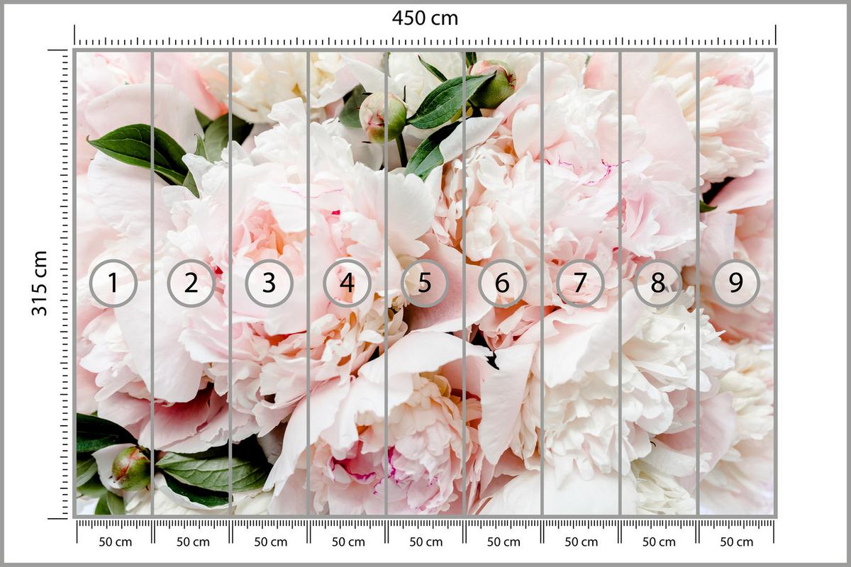 FOTOTAPETE für Schlafzimmer Rosa Zarte Pfingstrosen Natur 450x315 - Rosa/Weiß, Papier (450/315cm) - Muralo