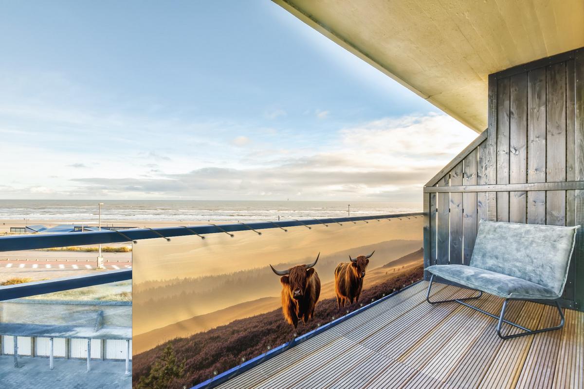 BALKON-SICHTSCHUTZ Schottische Hochlandbewohner - Heide - Landschaft - Tiere Deko XXL 500x120 cm - Cognac, Kunststoff (500/120cm) - MuchoWow