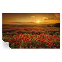 FOTOTAPETE 416x254 cm - Mohnfeld - Rot, Textil (416/254cm) - Wallfluent