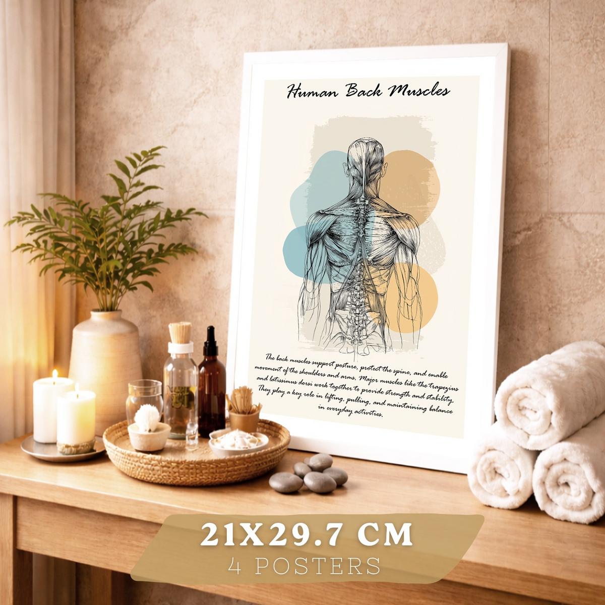 POSTER Set aus 4 Anatomie Mensch Lernposter Drucke und Wandbilder mit Muskeln Rücken Rippen Gehirn und Schädel Modernes Design Größe Weißer Rahmen A4 - Weiß, Papier (21/29.7/3cm) - Nacnic