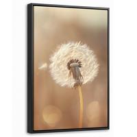 LEINWAND Bilder mit Rahmen - Löwenzahn - Beige - Natur - Blume - 40x60 - Hellbraun, Textil (40/60cm) - MuchoWow