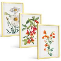 BILDER SET 3er Set - 40x60 cm Goldrahmen - Retro-Blumenarrangements - Goldfarben, Kunststoff (40/60cm) - TULUP