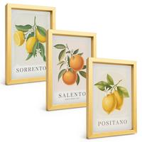 BILDER SET 3er Set - 20x30 cm Goldrahmen - Amalfi-Zitronen und -Orangen - Goldfarben, Kunststoff (20/30cm) - TULUP