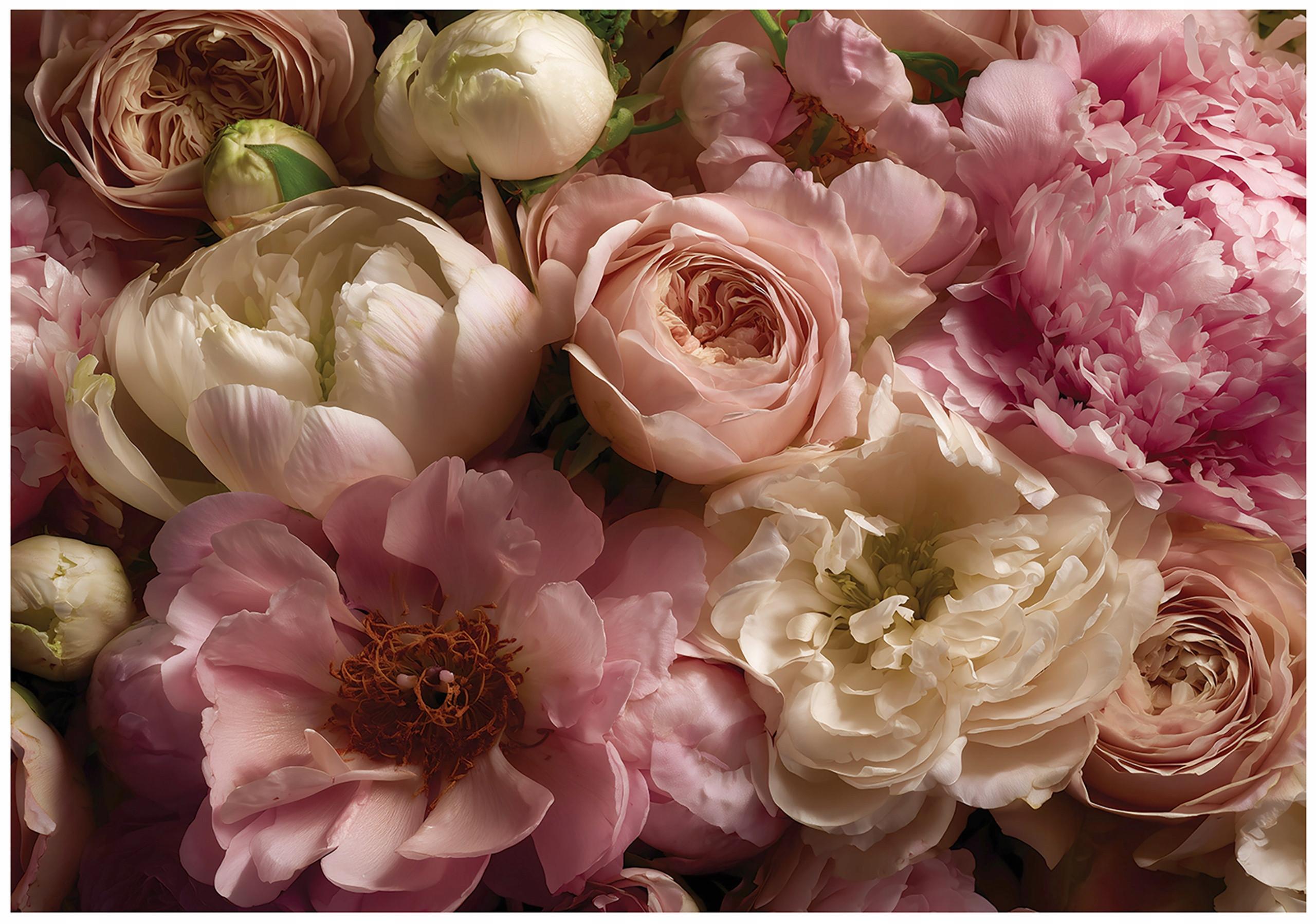 FOTOTAPETE Blumen Pfingstrosen Rosa 400x280 cm - Multicolor, Papier (400/280cm) - Wallarena