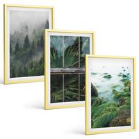 BILDER SET 3er Set - 40x60 cm Goldrahmen - Waldnebel, Flussufer, Gewächshaus - Goldfarben, Kunststoff (40/60cm) - TULUP