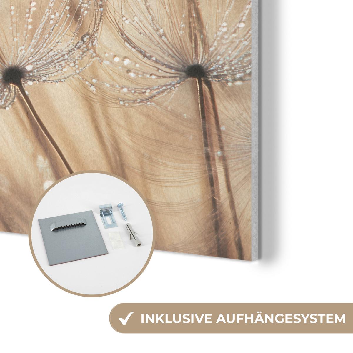 AKUSTIKBILD Löwenzahn - Abstrakt - Natur - Beige Wanddeko 70x50 cm - Braun, Kunststoff (70/50/0.9cm) - MuchoWow