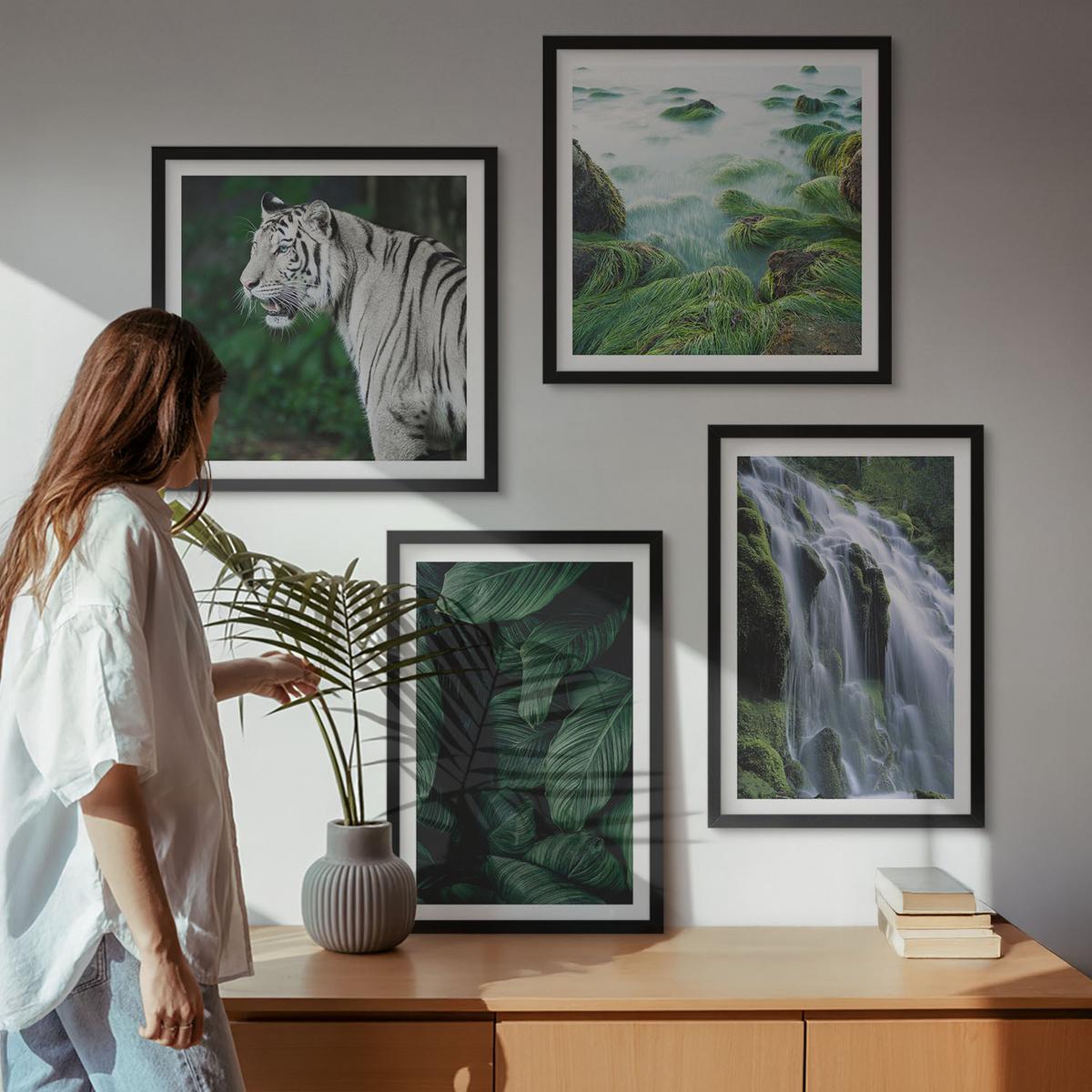 BILDER SET 4er Set - 50x50 cm & 40x60 cm Schwarzer Rahmen - Blätter des Weißen Tigerwasserfalls - Schwarz, Kunststoff (50/50cm) - TULUP