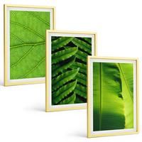 BILDER SET 3er Set - 40x60 cm Goldrahmen - Makrofotografie von tropischen Blättern - Goldfarben, Kunststoff (40/60cm) - TULUP